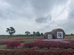 -嘉北郊野公园