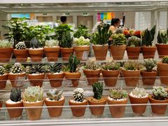 -KKV(重庆光环购物公园店)