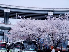 -上海南浦大桥长途旅游客运站