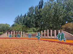-御林古桑园