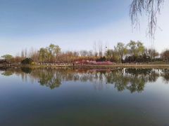 -大兴滨河森林公园