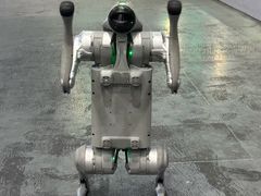 -极限PLAY运动娱乐新世界·团建派对潮玩休闲馆·室内蹦极高空游乐园