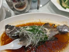 -大东海海鲜酒楼(渔人码头总店)