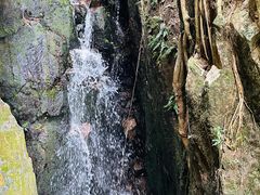 -海南热带雨林国家公园吊罗山景区