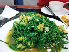 -罕山奶茶馆(和平路店)