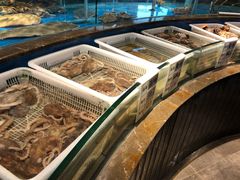 水产区-万盛合(渔人码头店)