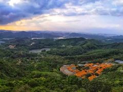-梧桐山风景名胜区