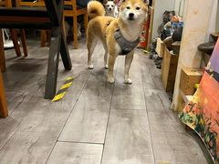 -滋味厨房小酒馆(万达广场店)