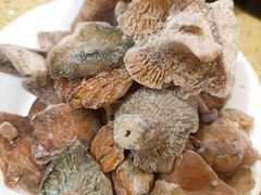 -东巴谷野生菌火锅餐厅