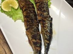 -向阳庄烧烤店(望京西园店)