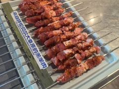-很久以前羊肉串(朝阳路店)