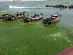 -青岛银沙滩