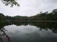 -大屏嶂森林公园