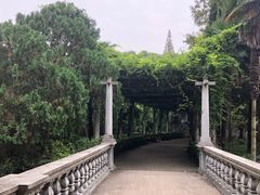 -叶家花园