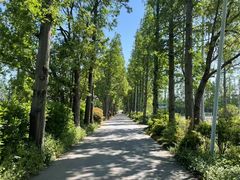 -上海长兴岛郊野公园