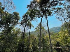 -野象谷景区