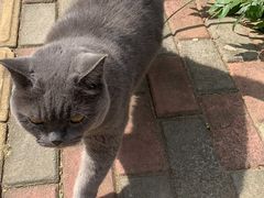 -Rabbit Cafe私房西餐甜点咖啡(栖霞路店)