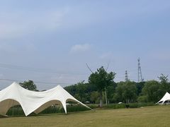 -佛手湖郊野公园