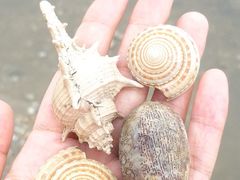 -钱大妈海鲜饭店(保利林语店)