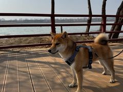 -绿堤公园