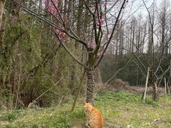 -同里国家湿地公园