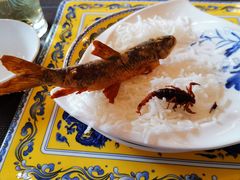 -神憩宾馆-餐厅