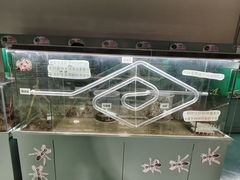 -上海大自然野生昆虫馆(东方明珠·爬宠昆虫探索中心)