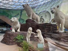 -陕西自然博物馆