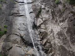 -黑河国家森林公园