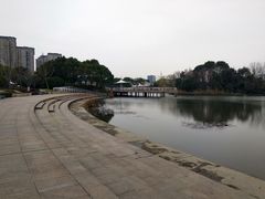 -新江湾城公园
