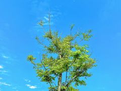 -梁子湖东篱老屋生态庄园