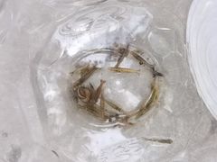 -成都市活水公园