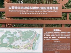 -大亚湾红树林城市湿地公园