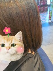 -T.1 hair salon烫染接发