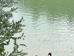 -广州白江湖森林公园