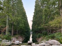 -东平国家森林公园