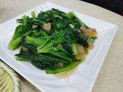 -津津食品店