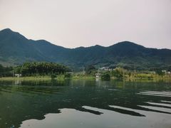 -杨家寨