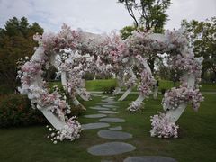 -府河摄影公园