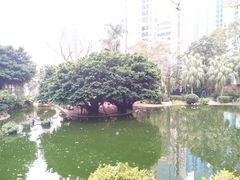 -九龙公园