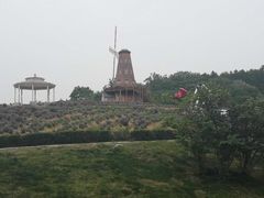 -大塘金香草谷