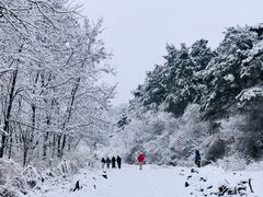 -天女山森林公园