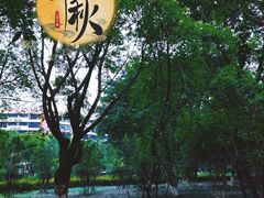 -沙河三洞古桥公园