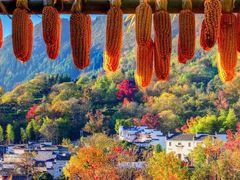 -塔川景区