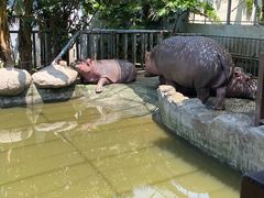 -宁波野生动物园
