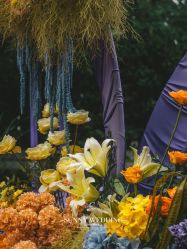 -Sunny喜铺婚礼策划(东部店)