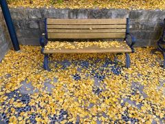 -苏州河梦清园环保主题公园