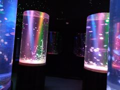 -邯郸海洋世界