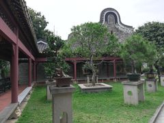 -碧江金楼