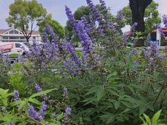 -炊江南·上海菜(国展华漕店)